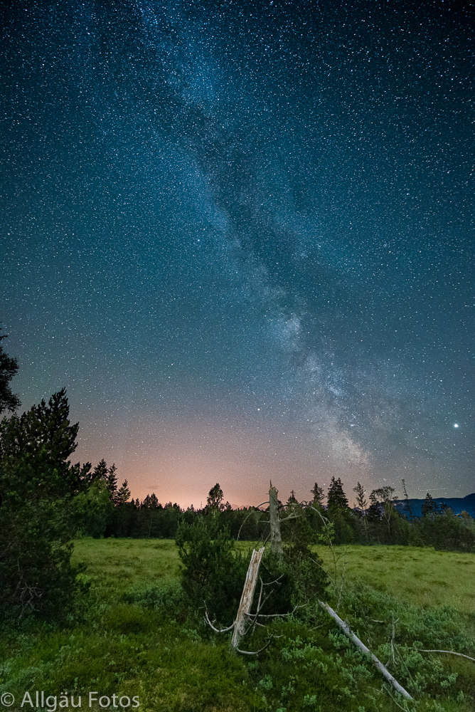 Milchstrasse im Tiefenberger Moor